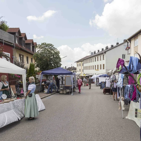 _MG_1574(Web).jpg